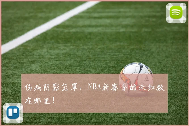 伤病阴影笼罩,NBA新赛季的未知数在哪里!