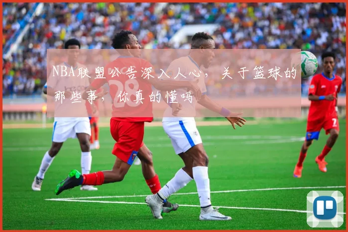 NBA联盟公告深入人心,关于篮球的那些事,你真的懂吗